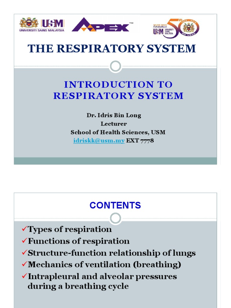 Functions of the Respiratory System | PDF | Lung | Exhalation