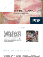 Filete de Tilapia