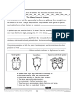 Spider Facts Reading PDF