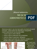 LP 5 Mușchii Abdomenului