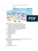 SOAL PAS KLS 11-Dikonversi