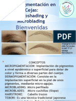 Micropigmentación de Cejas - Presentacion Celca