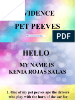 Evidencia Pet Peeves