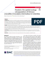 Journeying To Freedom: The Spatial Ecology of A Reintroduced Population of Orinoco Crocodiles (Crocodylus Intermedius) in Colombia