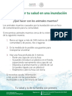 Guia Animales Muertos PDF