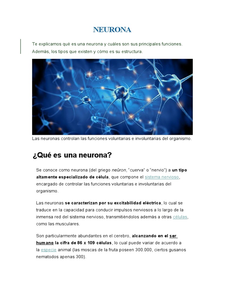 Sinapsis y convergencia neuronal | PDF | Sinapsis | Neurona