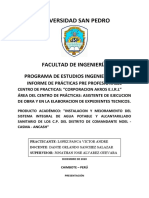 INFORME PPP