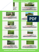 ECOSISTEMA BOSQUE COLINA BAJA Trabajo | PDF | Los bosques | Ciencias de ...