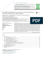 dezamethasone- mecanism