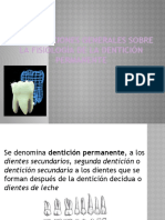 11 Morfologia-de-Denticion-Permanente.pptx