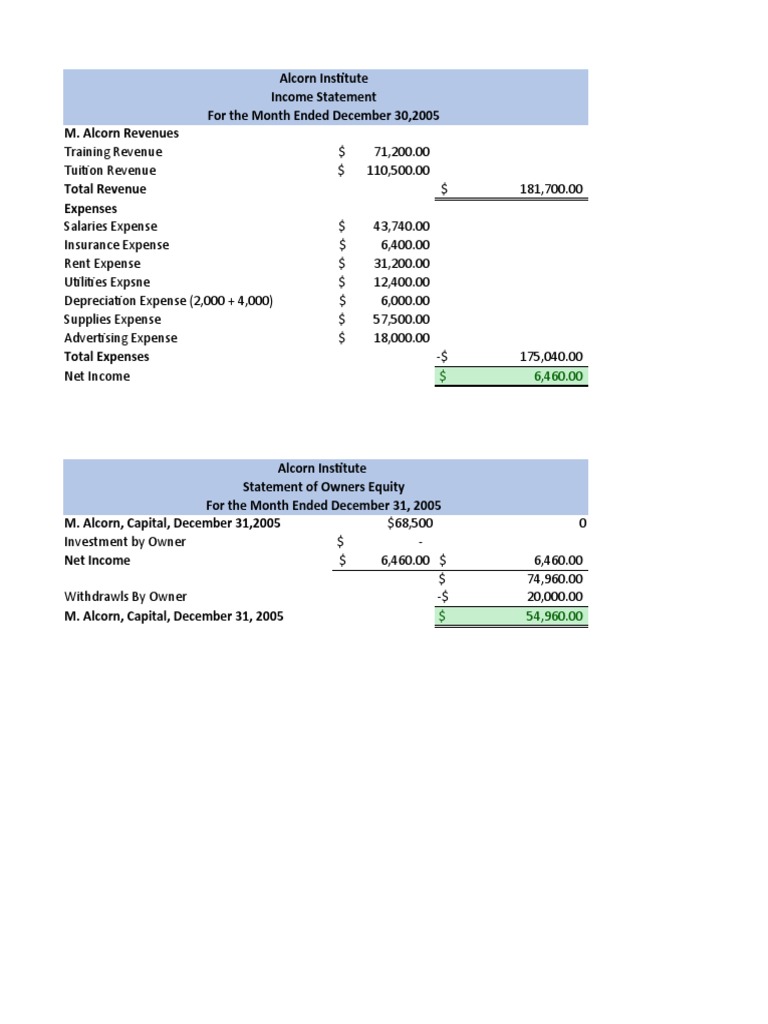 ACC 101 Fianancial Statements Group Work | Descargar gratis PDF ...