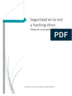 Seguridad en la red y hacking etico.pdf