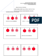 Ejercicio Hematologia Forense