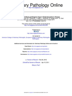 Clostridium Perfringenspathology of Type C Enterotoxemia in Horses