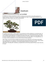 Cableado - Bonsai BCI