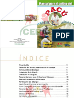 manual de pacu.pdf