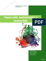 08-Desarrollo Sostenible o Sustentable
