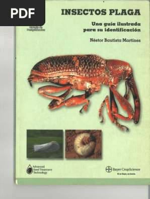 Cuadro De Identificación De Insectos