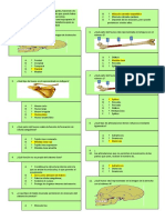 Preguntas #26