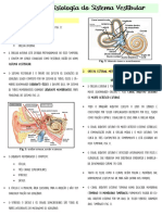 Anatomia e Fisiologia Do Sistema Vestibular