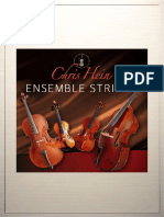 Chris Hein-Ensemble Strings Manual EN PDF