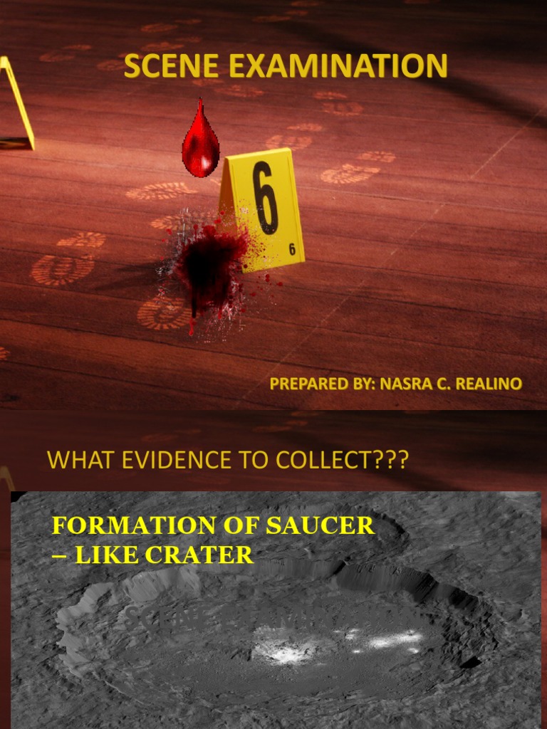 Scene Examination For Bombing | PDF | Spectroscopy | Gas Chromatography