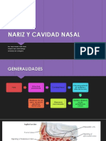 Nariz y Cavidad Nasal