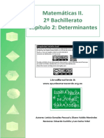 BC2 02 Determinantes PDF