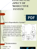 Developmental Aspect of Reproductive System