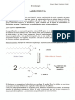 Lab. N° 1 Bromato