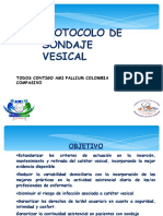 Protocolo de sondaje vesical: guía para la inserción, cuidados y retirada del catéter vesical