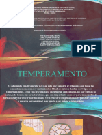 1.personalidad Flematico - Presentacion.ppsx