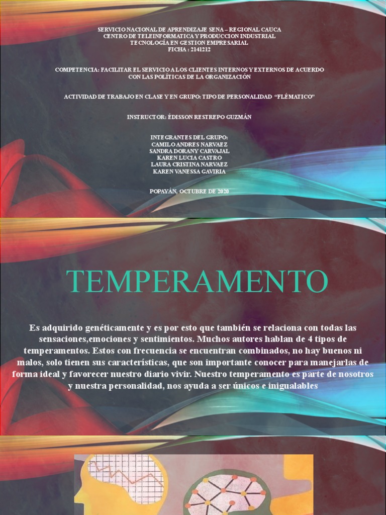 Características de la Personalidad Flématica | PDF | Temperamento | XIV ...