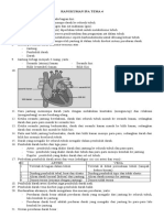 Ipa Tema 4