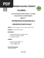 Mapa y Estudio de la Cuenca del Río Rímac | PDF | Cuenca de drenaje | Río