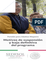tri_ptico_Suspension-Baja.pdf
