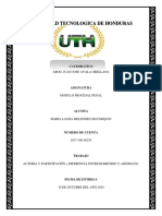 Analisis de Video-Modulo Penal.