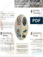 General Process Flow in Clinical Chemistry Specimen Analysis