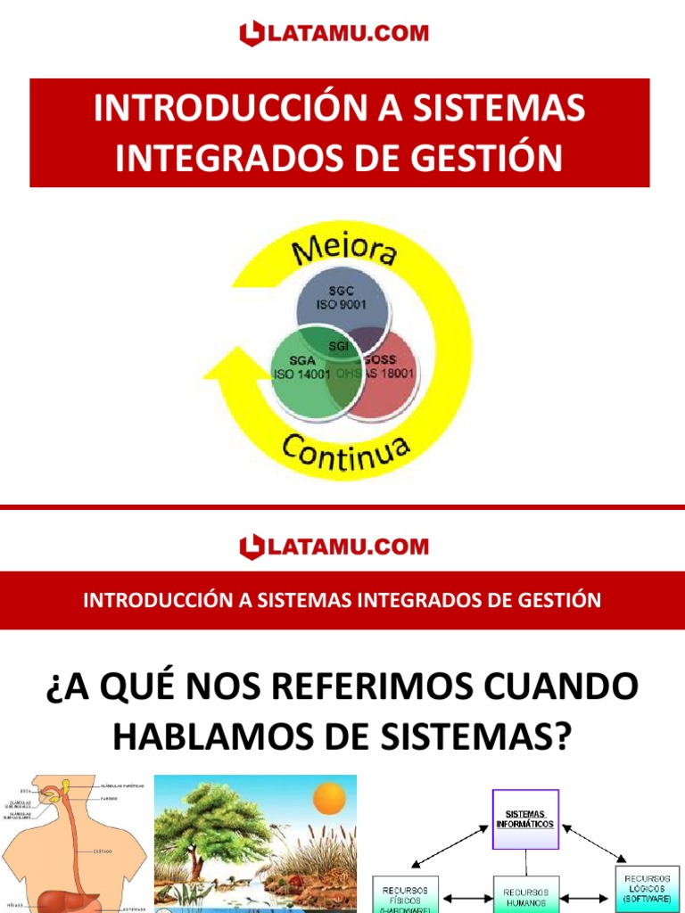 Sistemas Integrados de Gestión Empresarial | PDF | Política | Economias