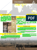 Distribution Profile: Calcisols