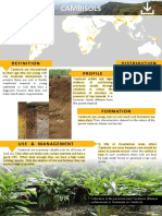 Distribution Profile: Cambisols