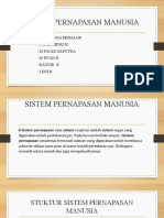 Sistem Pernapasan Manusia