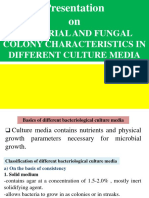 Bacterial and Fungal Culture Characteristics