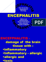 17 Enchephalites