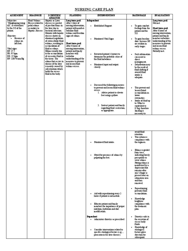 NCP Excess Fluid Volume PDF Edema Intravenous Therapy