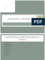 Nutritional deficiencies of guava leaves