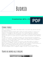 Budrio PP