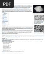 Diatomaceous Earth (Wiki)