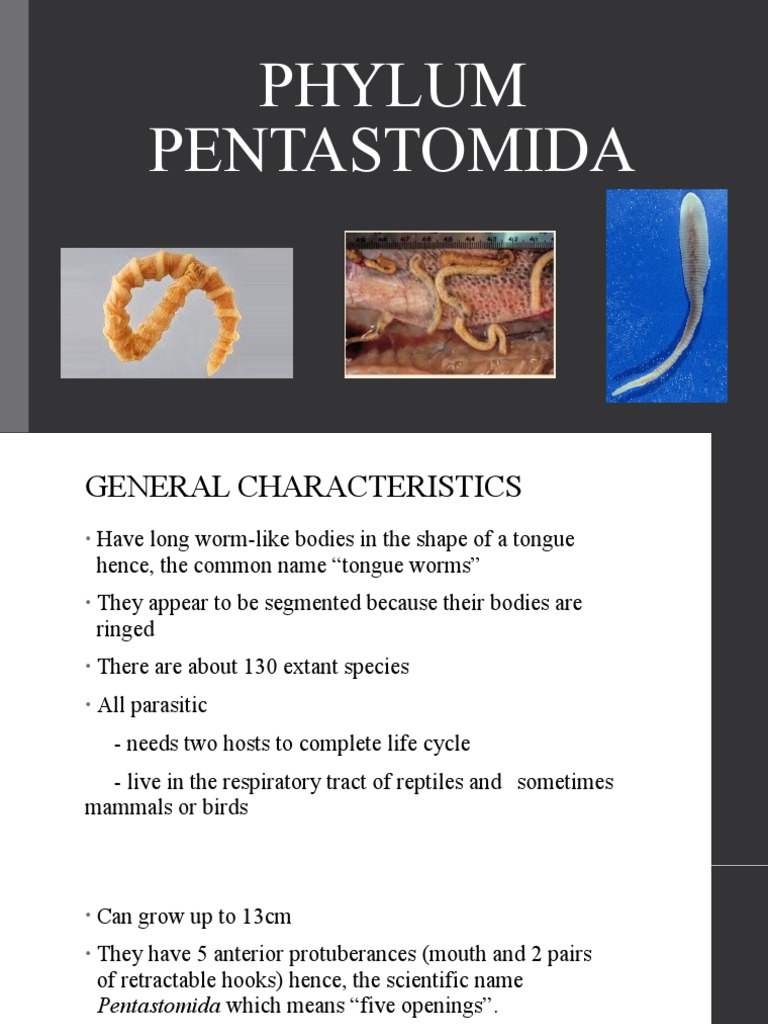 PENTASTOMIDA | PDF