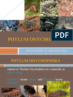Phylum Onychophora: Sunico Ethyl & Arrojado Shai
